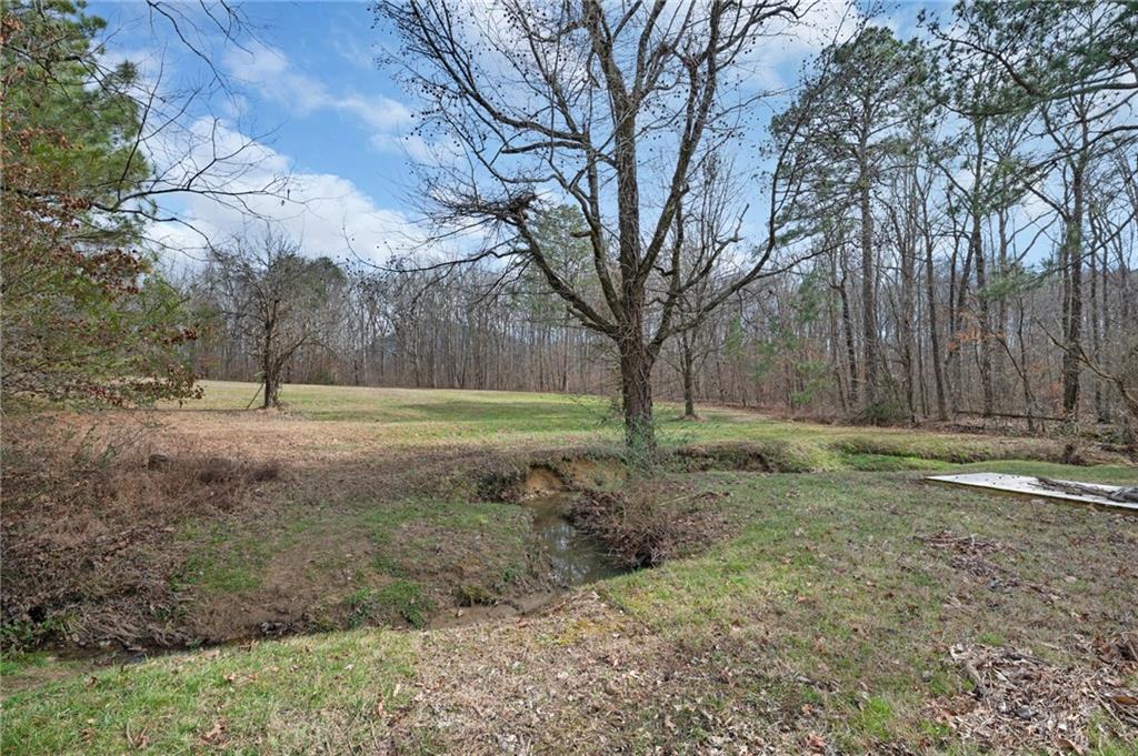 1340 Hyden Tyler Road Chatsworth, GA 30705 - Photo 39 of 65 a view of dirt field with large trees