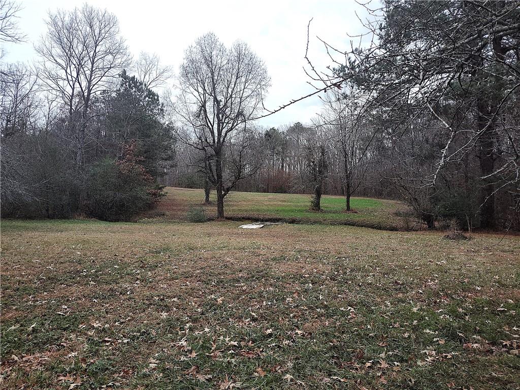 1340 Hyden Tyler Road Chatsworth, GA 30705 - Photo 64 of 65 a view of empty area with green space