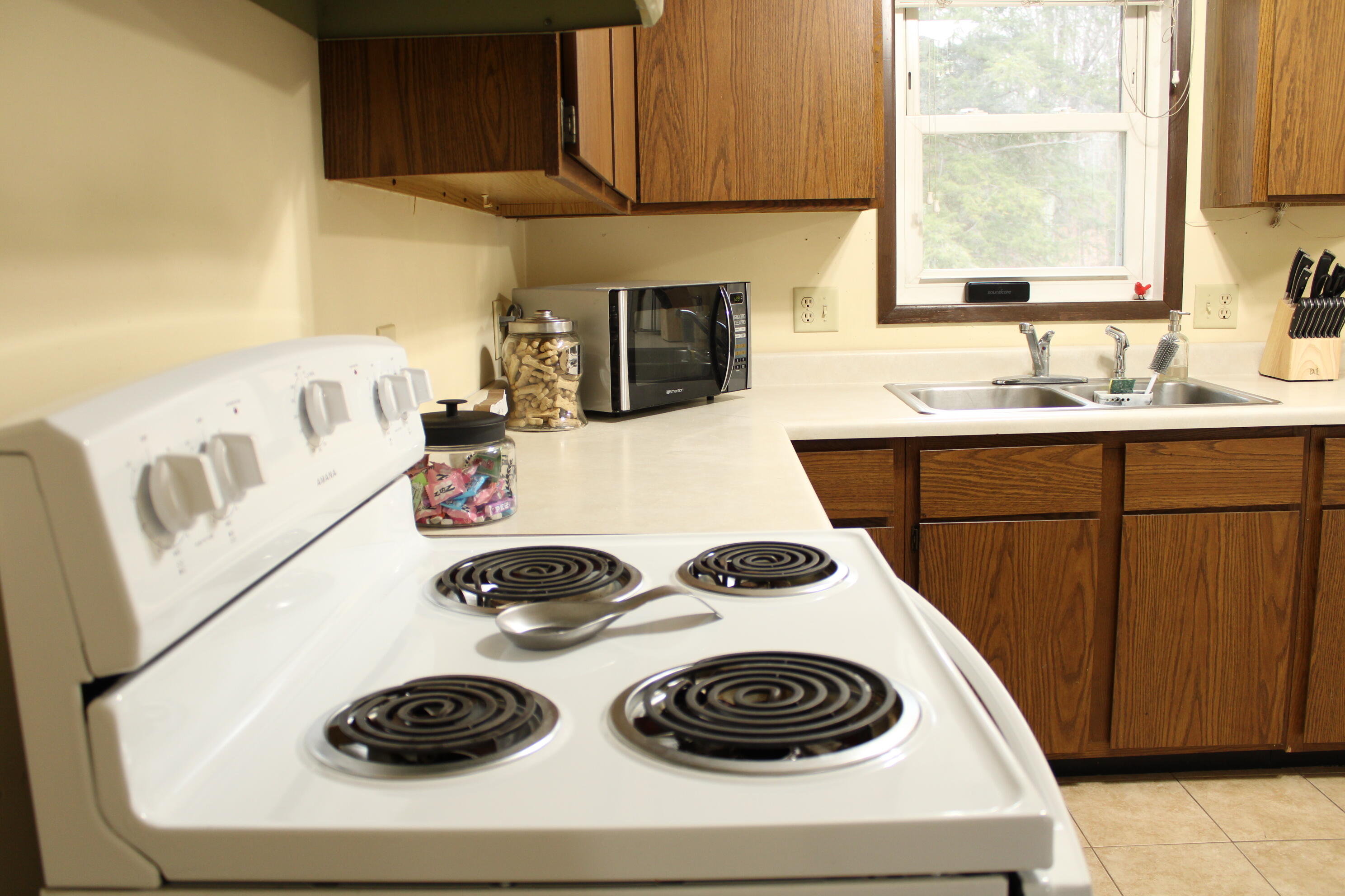 2540 East Arthur Road Rothbury, MI 49452 - Photo 13 of 45 IMG_1879