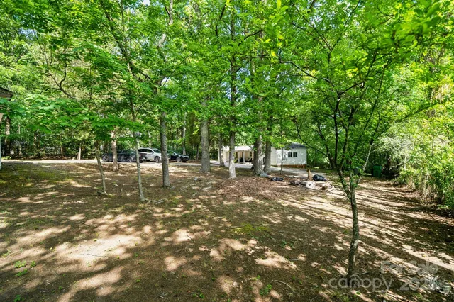 a view of a tree in a yard