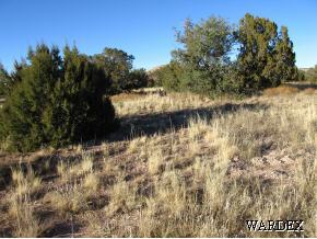 191 Fort Rock Road Seligman, AZ 86337 - Photo 1 of 2 Primary Photo