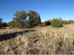 191 Fort Rock Road Seligman, AZ 86337 - Photo 2 of 2 Additional Photo