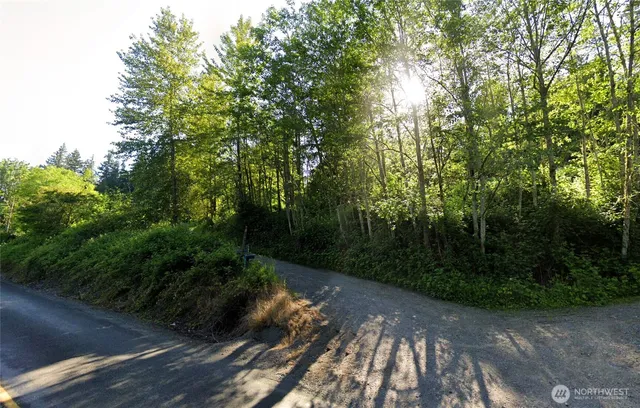 a view of a street with a trees