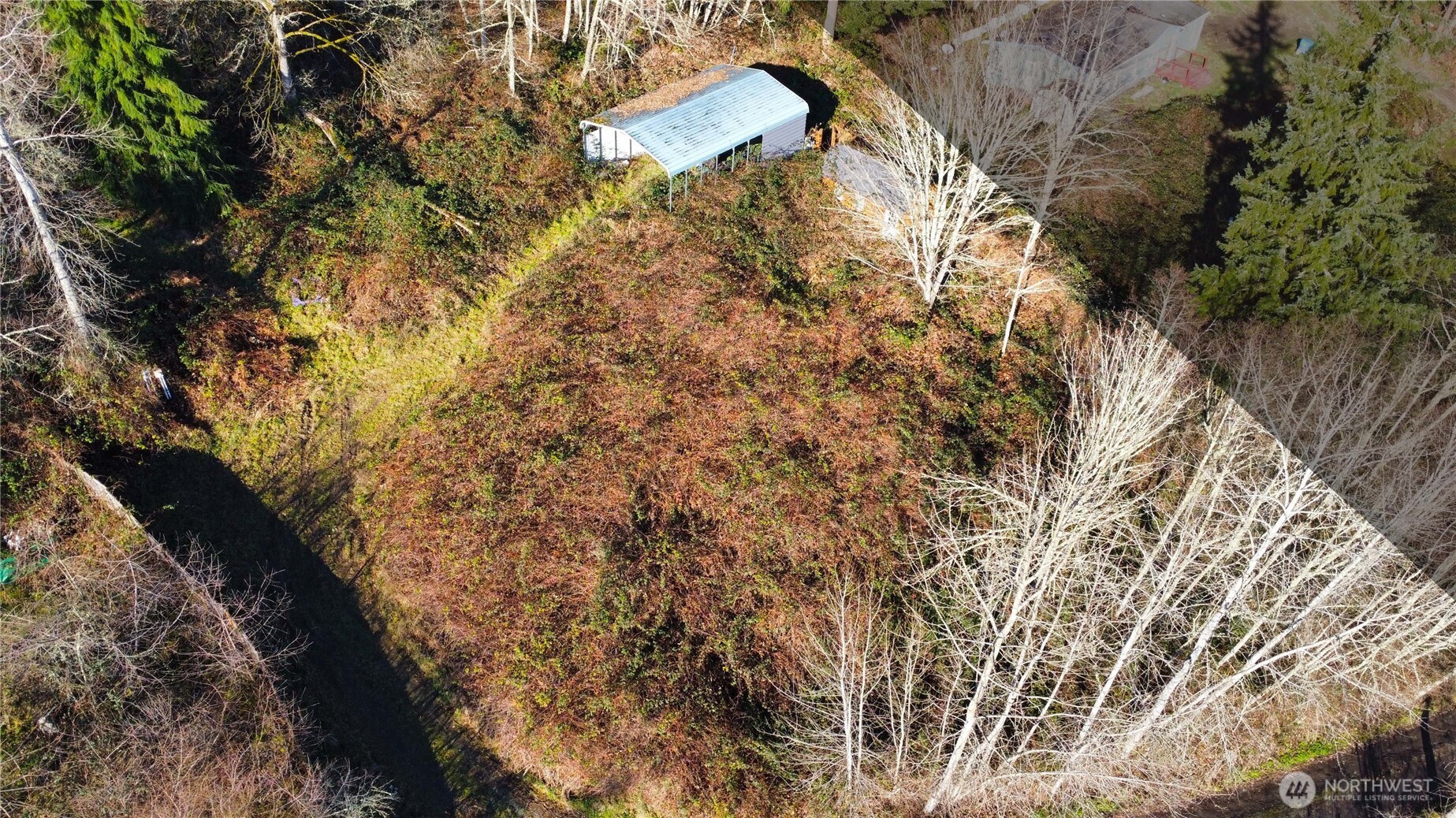 31822 Orville Road East Graham, WA 98338 - Photo 3 of 10 a view of a house with a yard