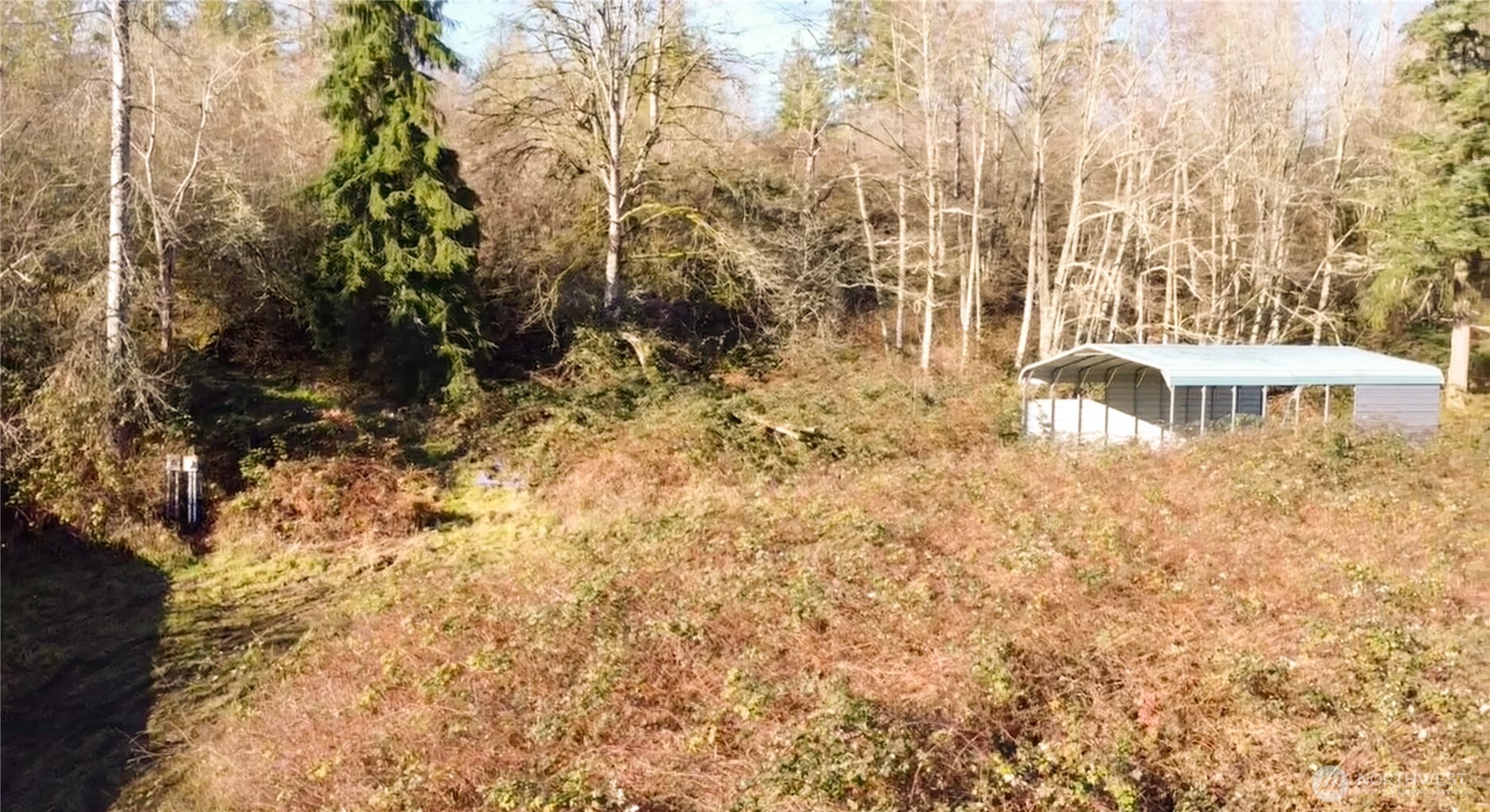 31822 Orville Road East Graham, WA 98338 - Photo 6 of 10 a view of a outdoor space