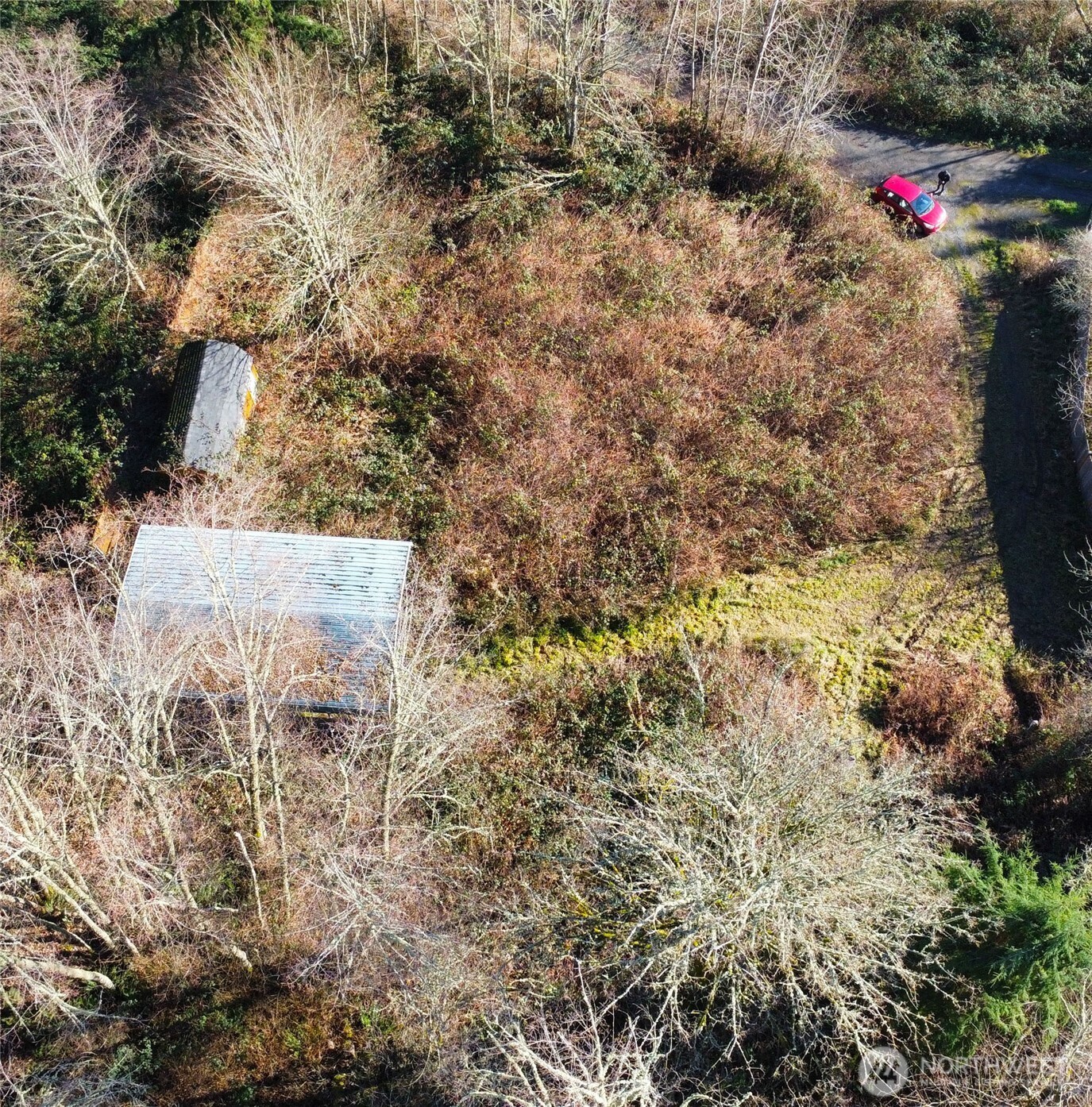 31822 Orville Road East Graham, WA 98338 - Photo 8 of 10 a view of door and mountain view
