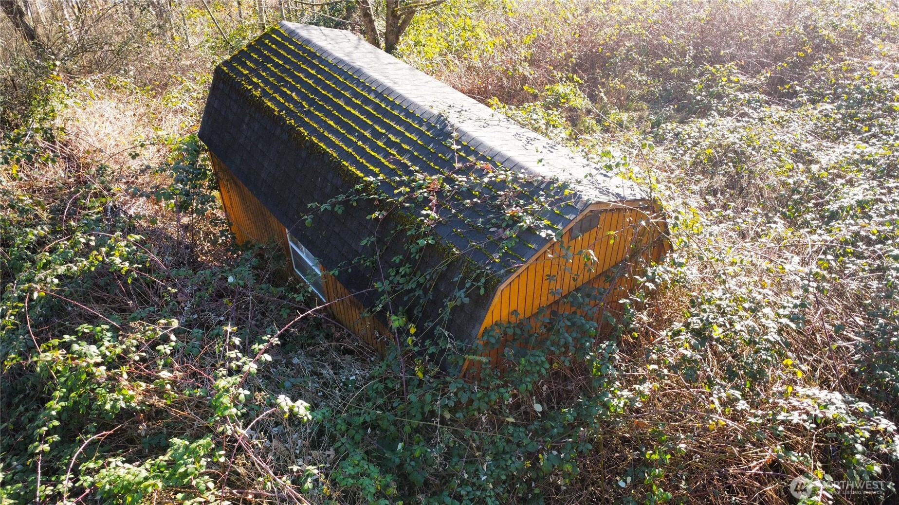 31822 Orville Road East Graham, WA 98338 - Photo 10 of 10 a view of a yard
