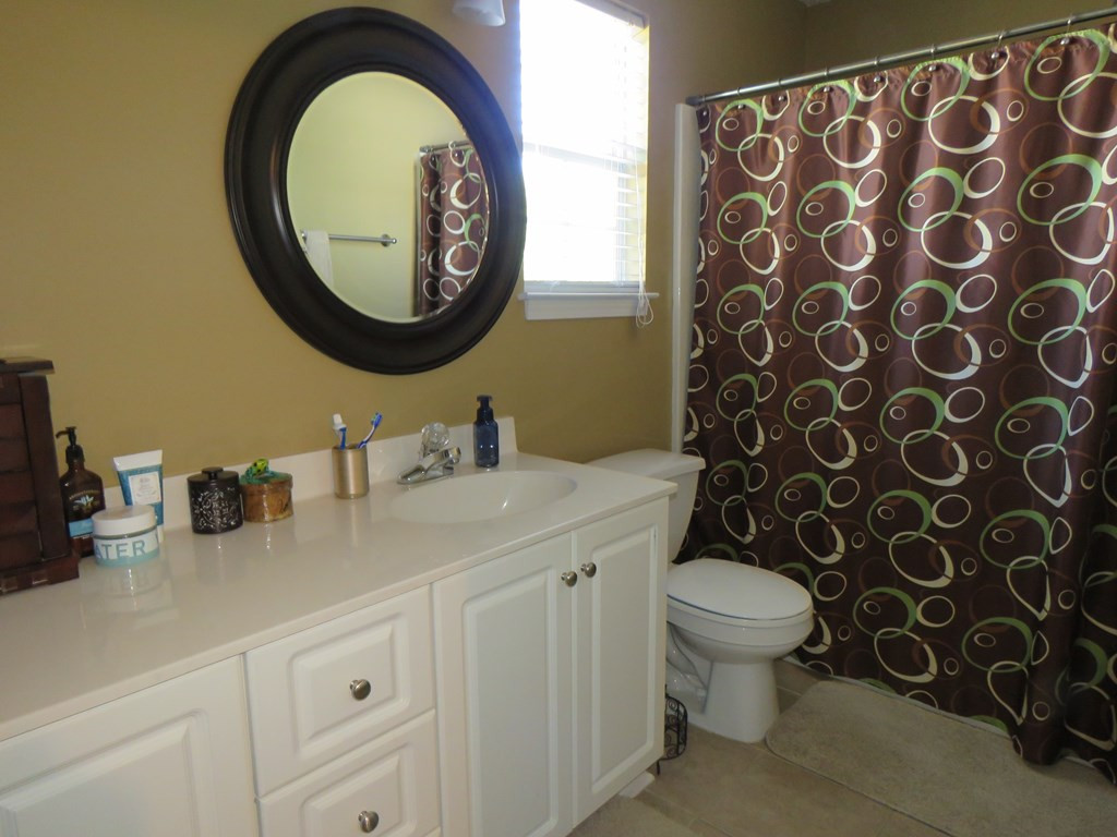 161 Willow Forks Road Lexington, SC 29073 - Photo 19 of 20 Photo 19