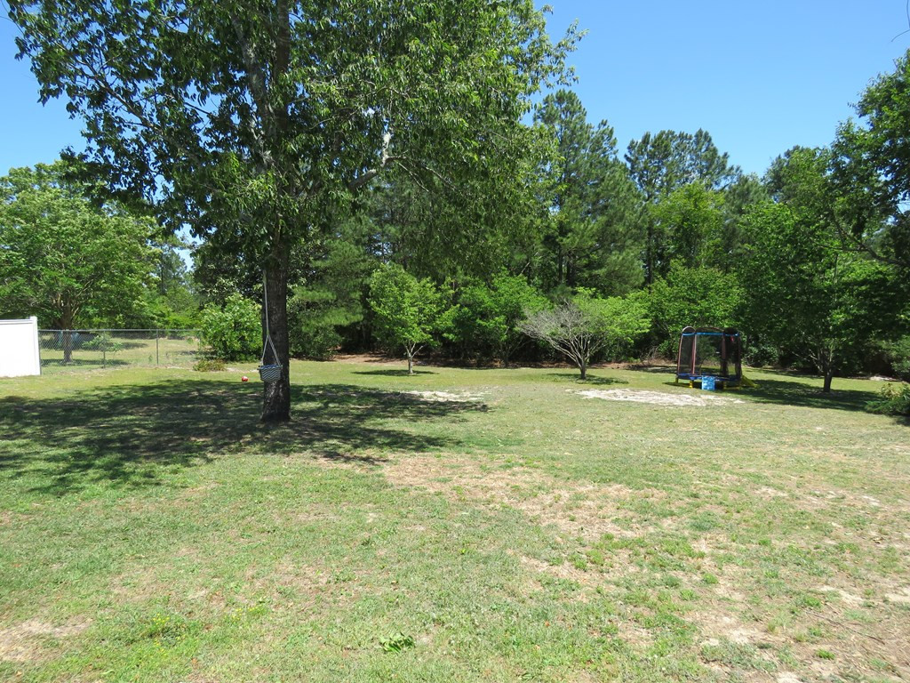 161 Willow Forks Road Lexington, SC 29073 - Photo 3 of 20 Photo 3