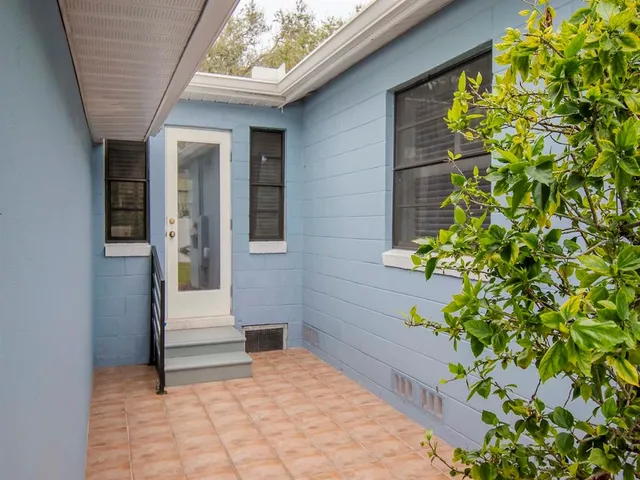 a view of small house with potted plants