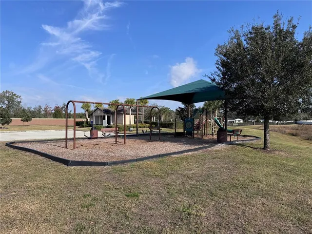 a view of a park with large trees