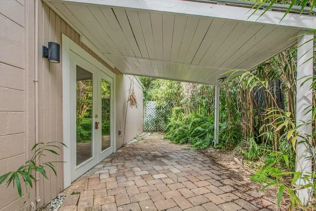 a view of a backyard with plants