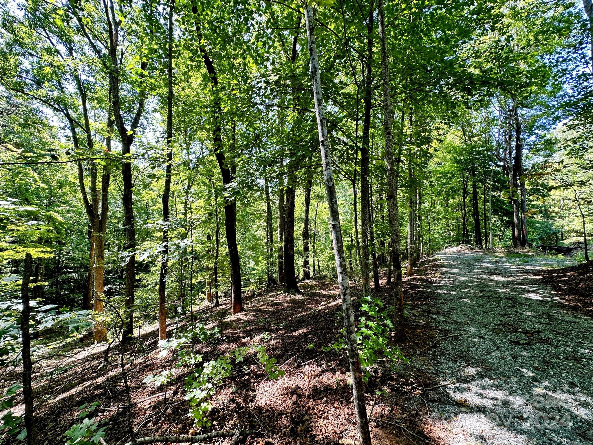 0 Howard Gap Road Tryon, NC 28782 - Photo 1 of 6