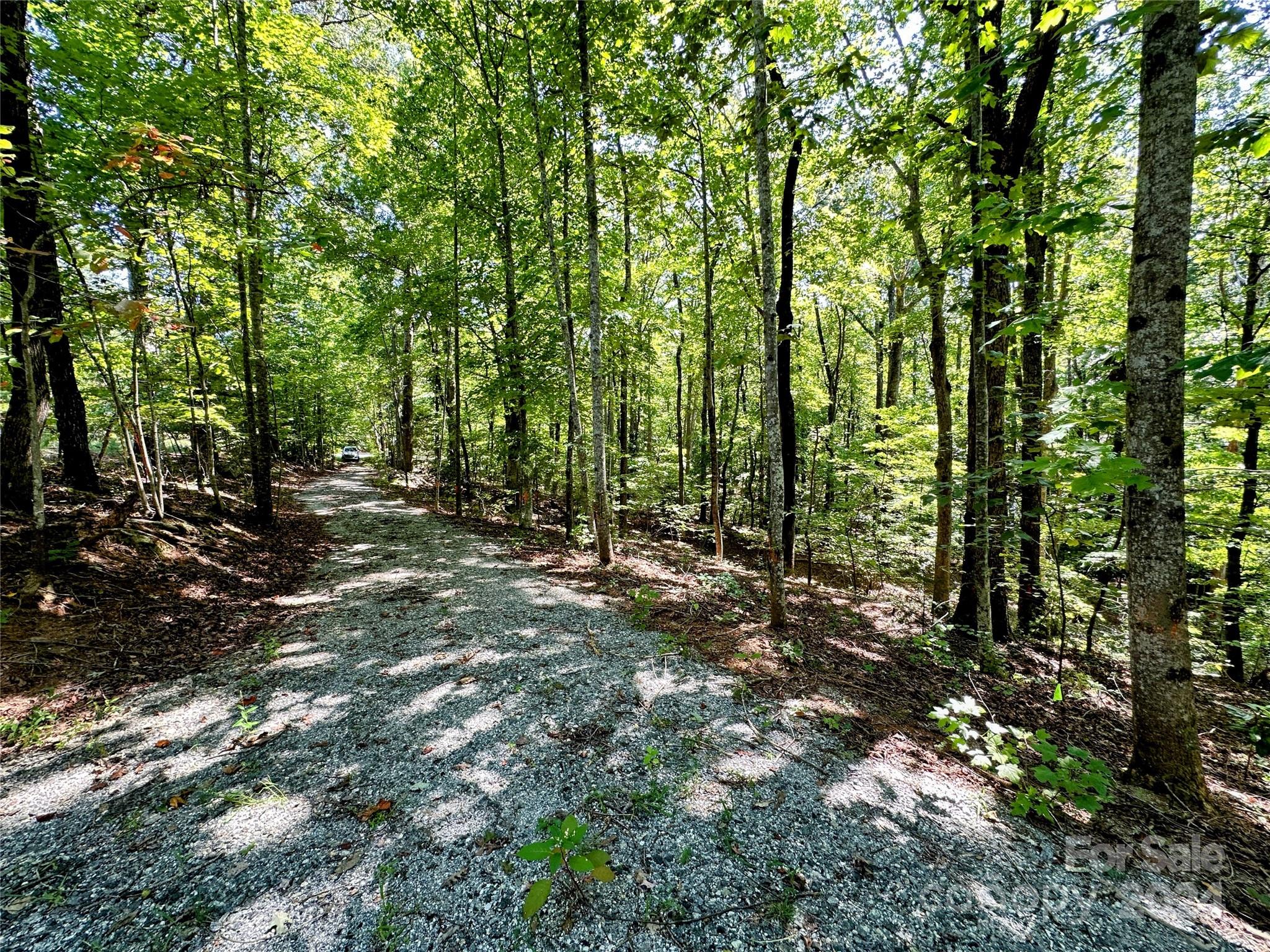 0 Howard Gap Road Tryon, NC 28782 - Photo 2 of 6