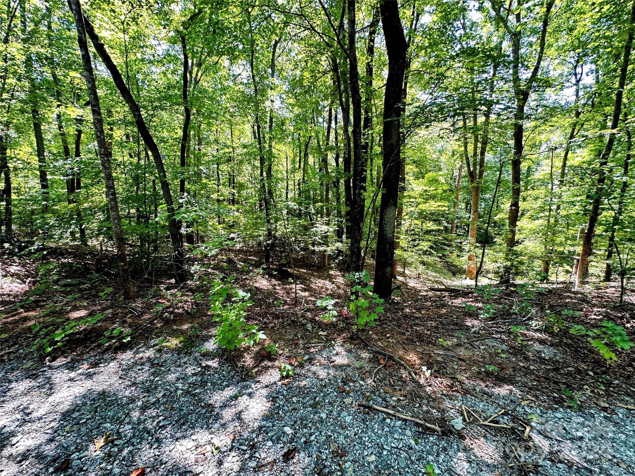 0 Howard Gap Road Tryon, NC 28782 - Photo 3 of 6