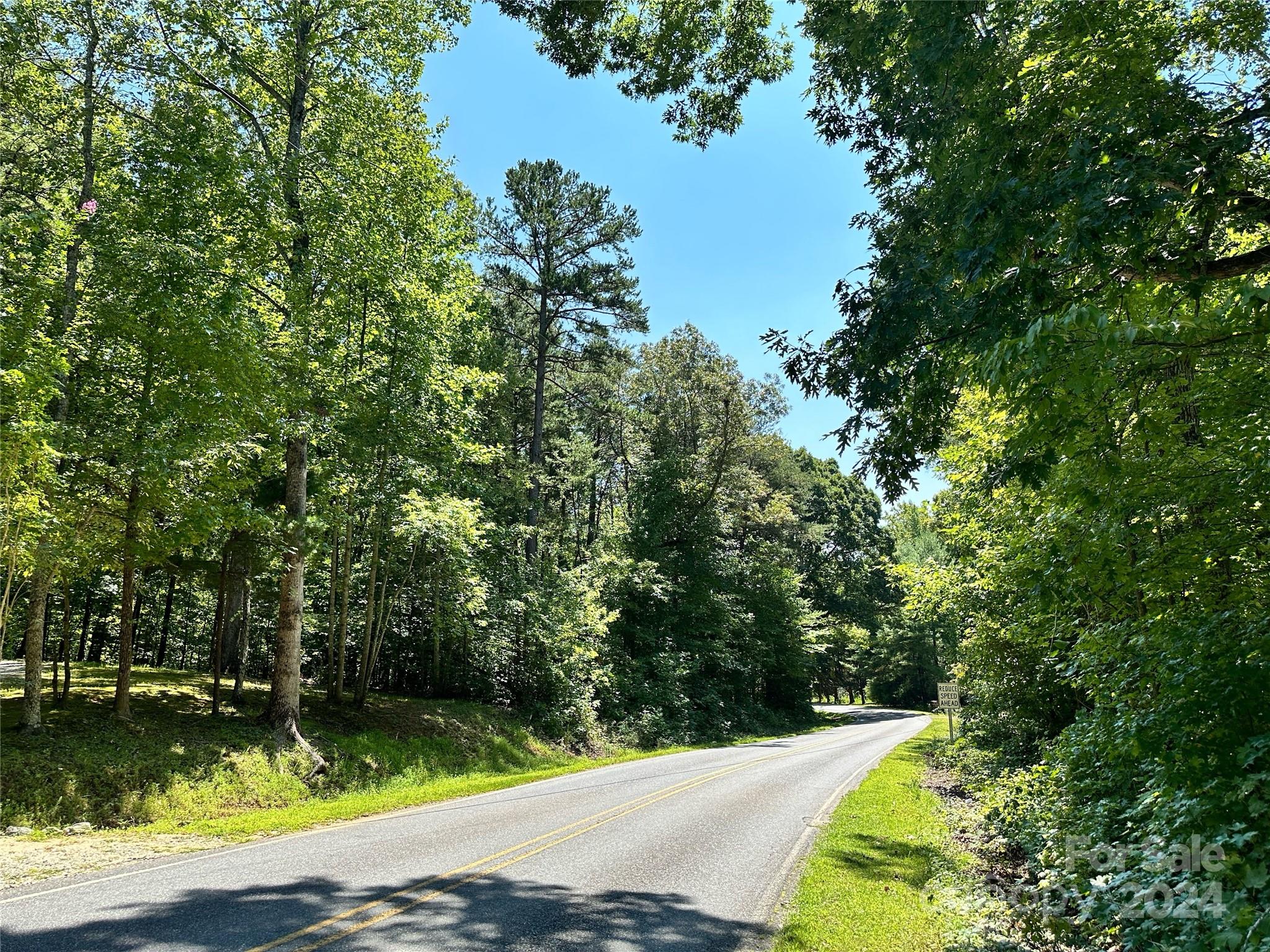 0 Howard Gap Road Tryon, NC 28782 - Photo 4 of 6