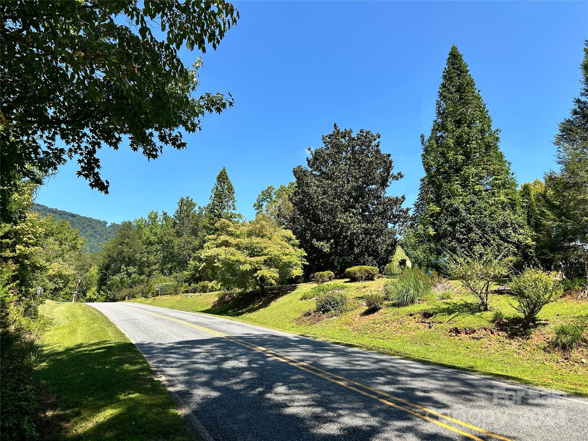0 Howard Gap Road Tryon, NC 28782 - Photo 5 of 6