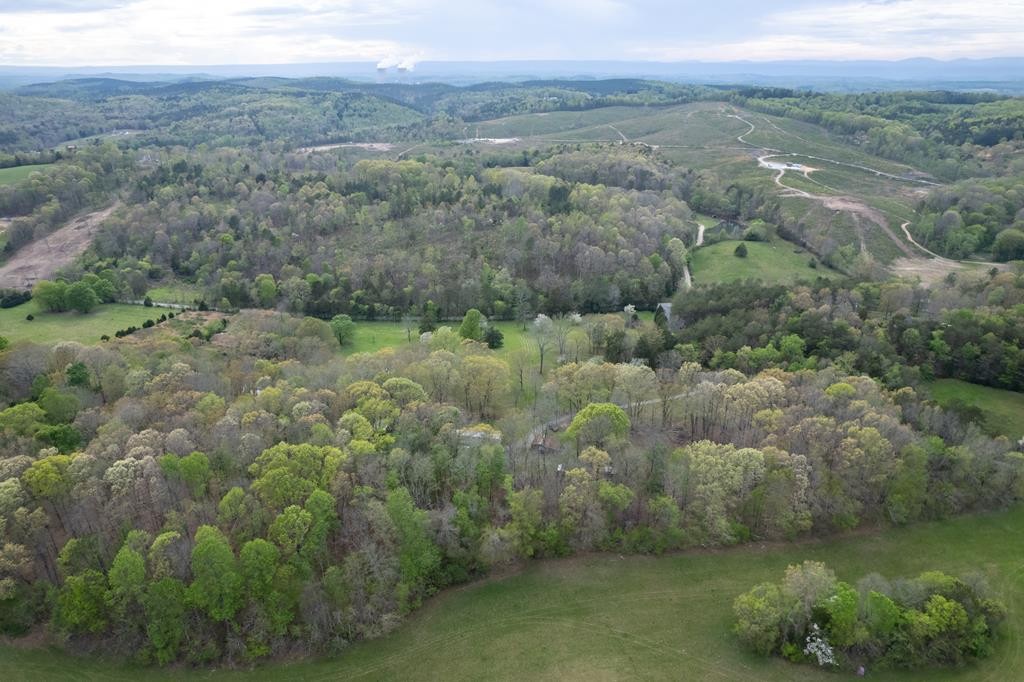 180 Shoemaker Lane Decatur, TN 37322 - Photo 68 of 70 Gallery Image 68