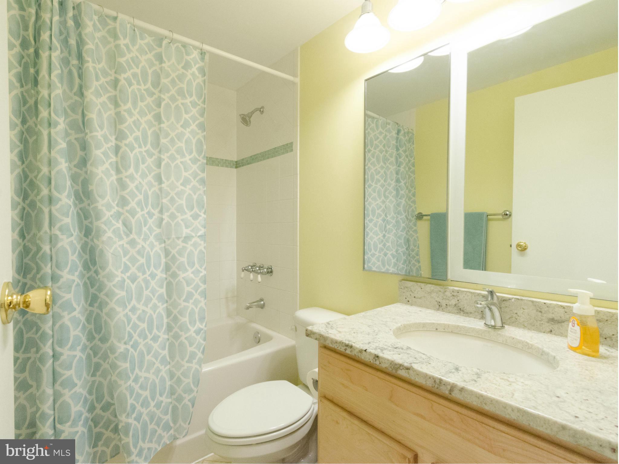 9246 Sealed Message Road Columbia, MD 21045 - Photo 21 of 27 Bath
