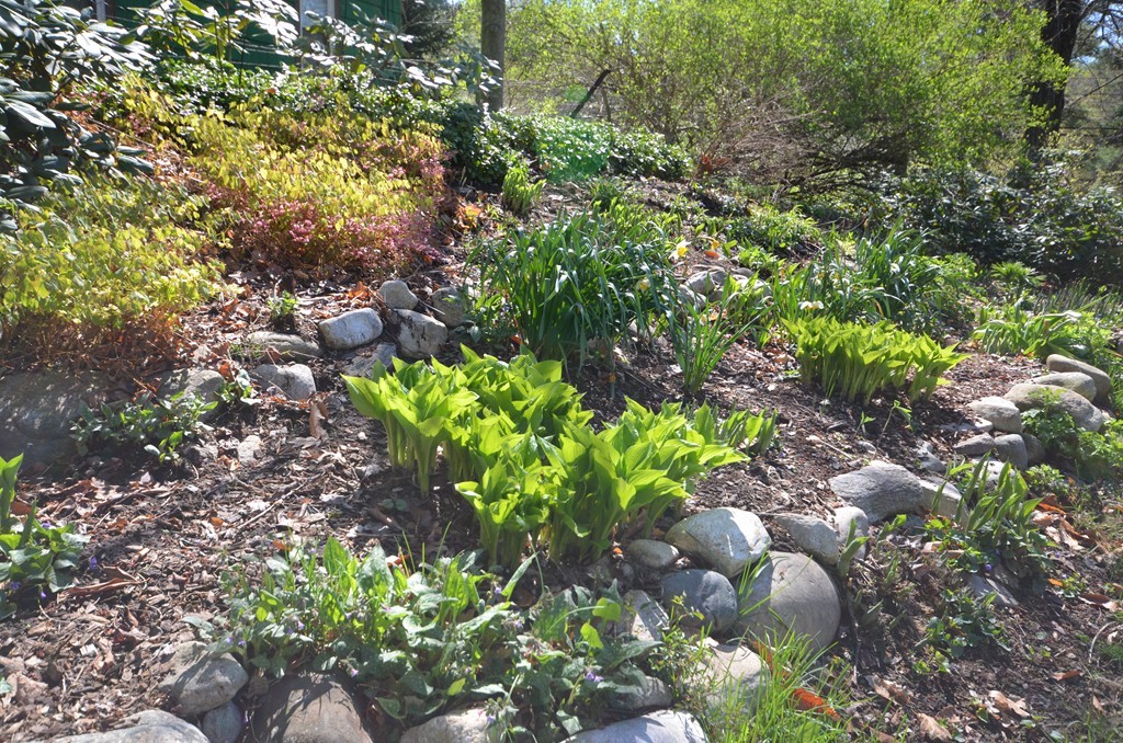 360 Pelham Road Amherst, MA 01002 - Photo 25 of 30