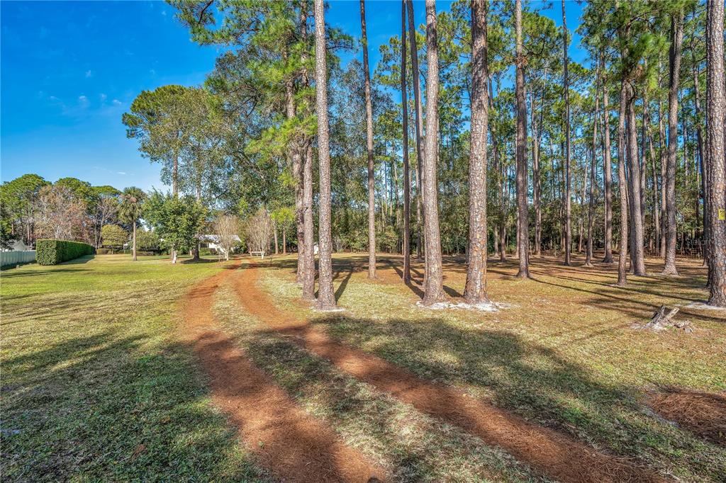 11451 Fangorn Road Orlando, FL 32825 - Photo 2 of 53