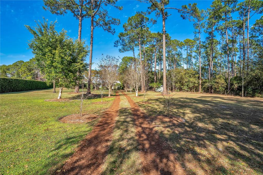 11451 Fangorn Road Orlando, FL 32825 - Photo 3 of 53