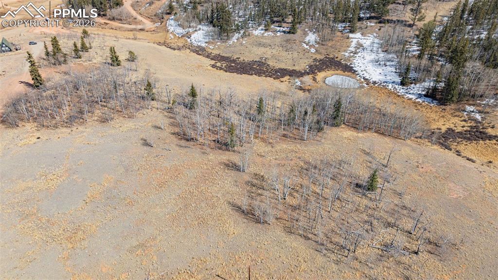 600 Pronghorn Drive Como, CO 80456 - Photo 6 of 12 a view of a dry yard with trees