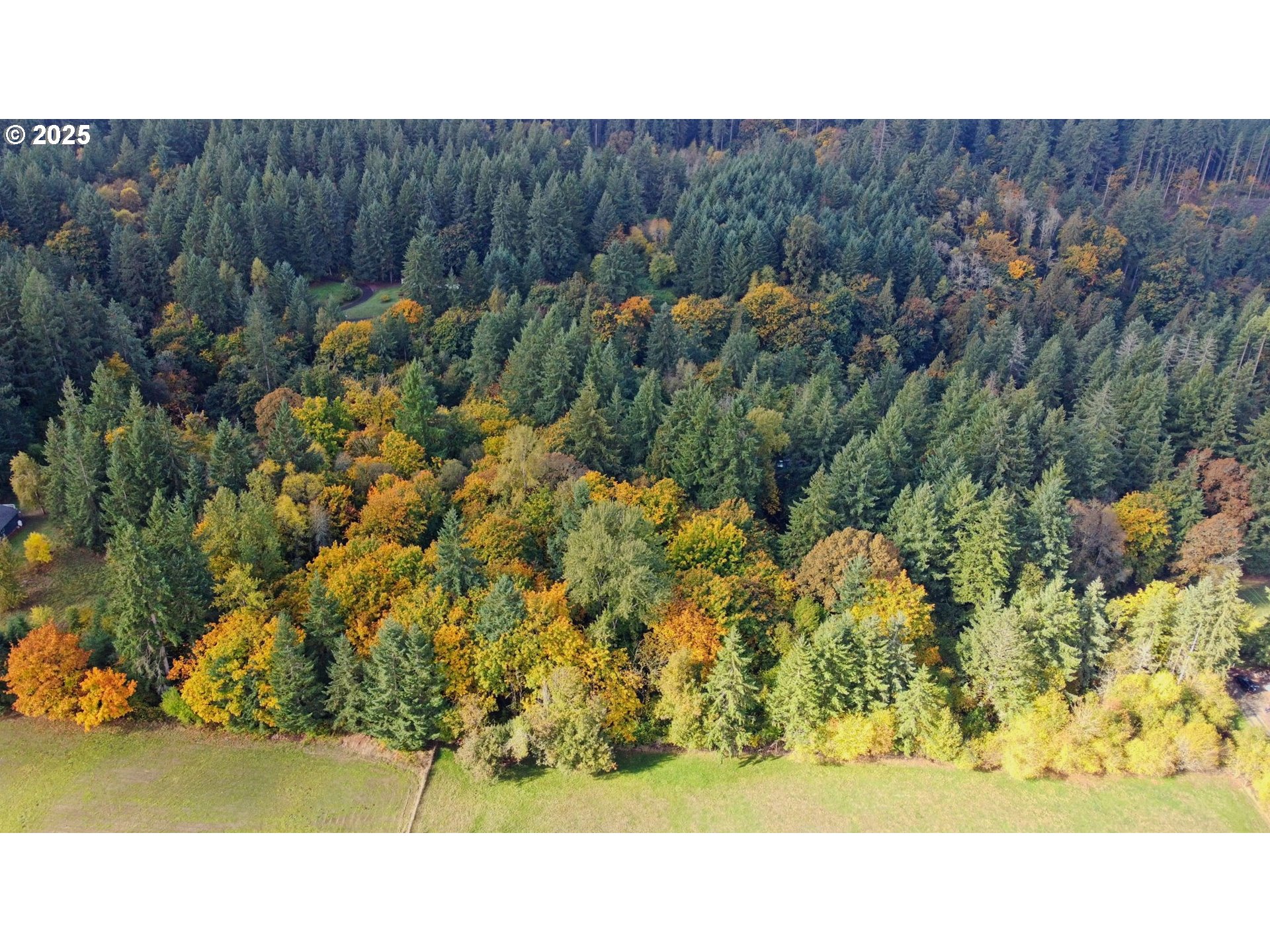 0 Northwest 314th Circle Ridgefield, WA 98642 - Photo 11 of 11