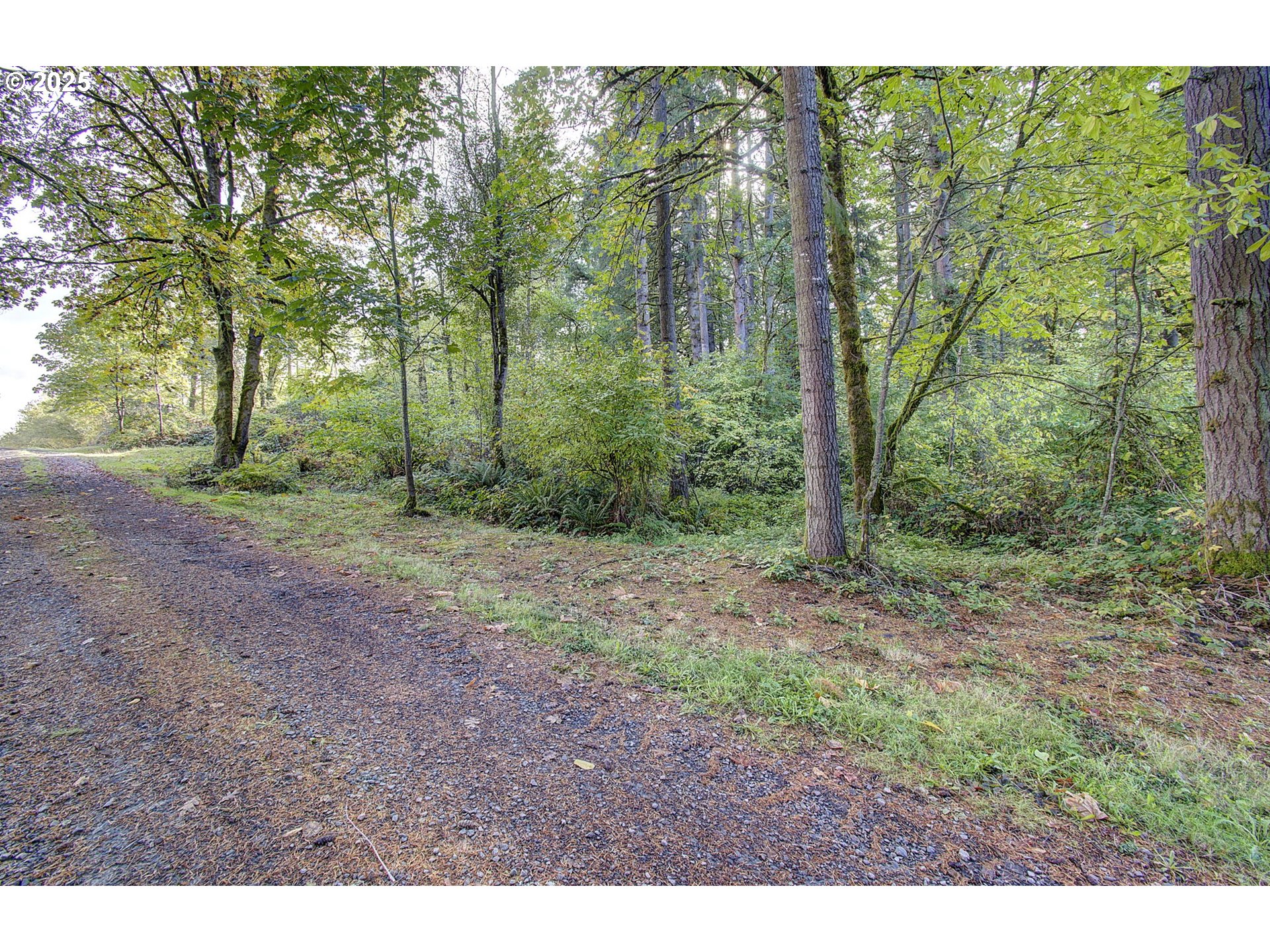 0 Northwest 314th Circle Ridgefield, WA 98642 - Photo 4 of 11