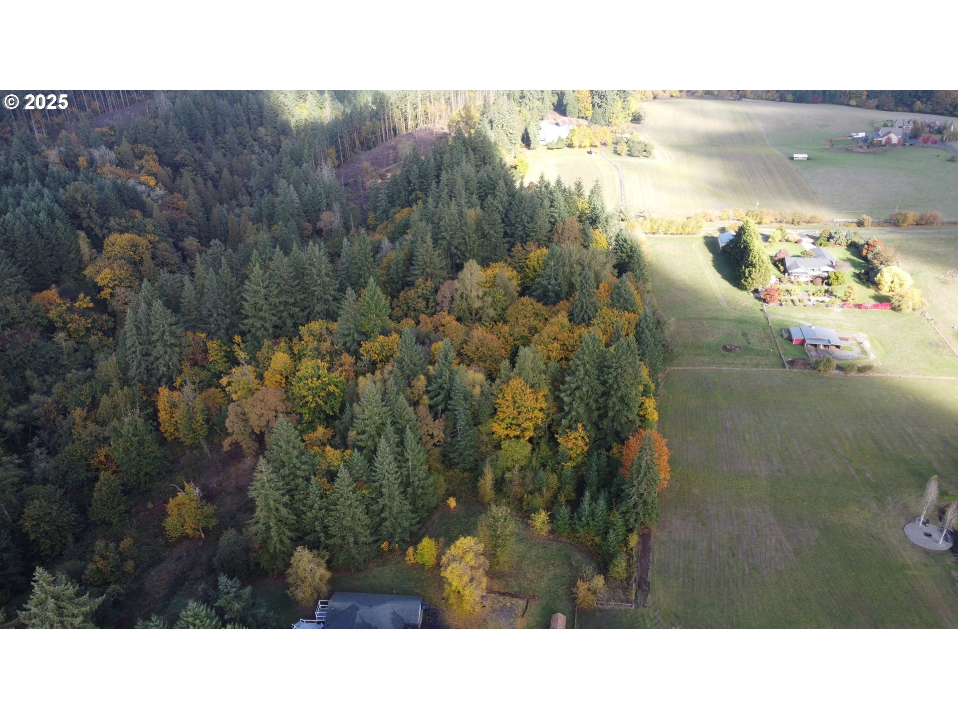 0 Northwest 314th Circle Ridgefield, WA 98642 - Photo 8 of 11