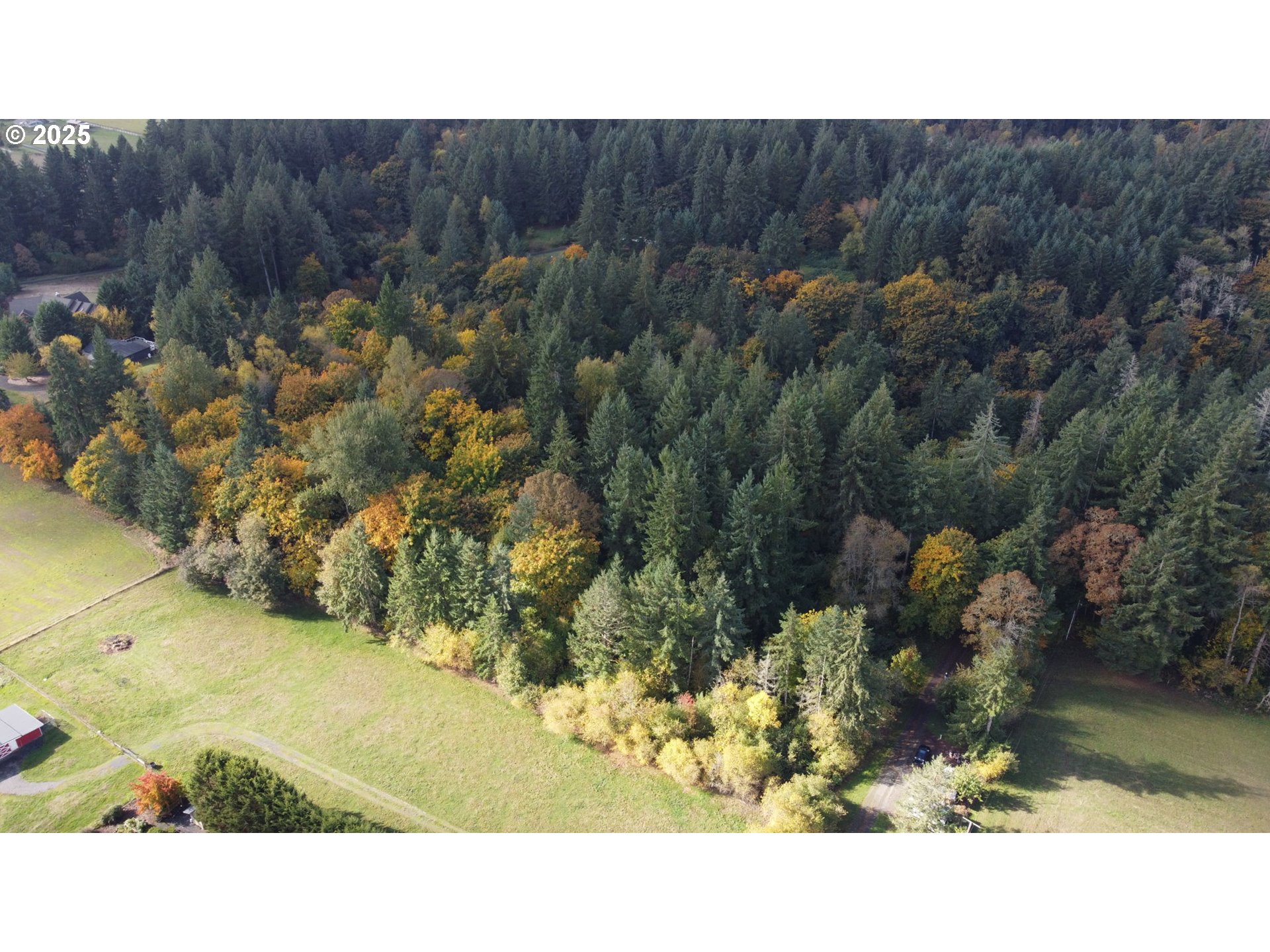 0 Northwest 314th Circle Ridgefield, WA 98642 - Photo 9 of 11