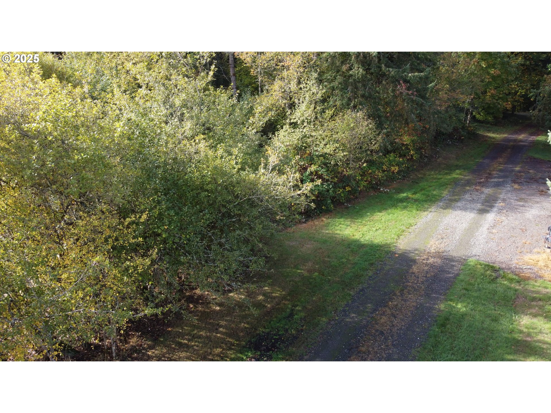 0 Northwest 314th Circle Ridgefield, WA 98642 - Photo 10 of 11