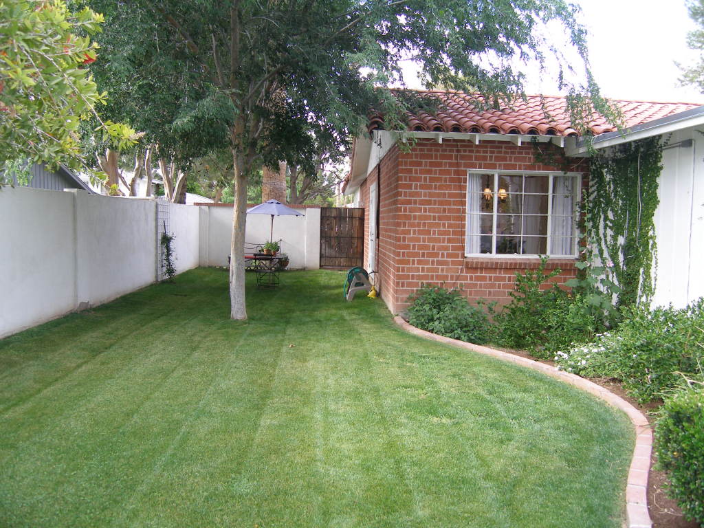 15 East Lamar Road Phoenix, AZ 85012 - Photo 28 of 34 Side yard