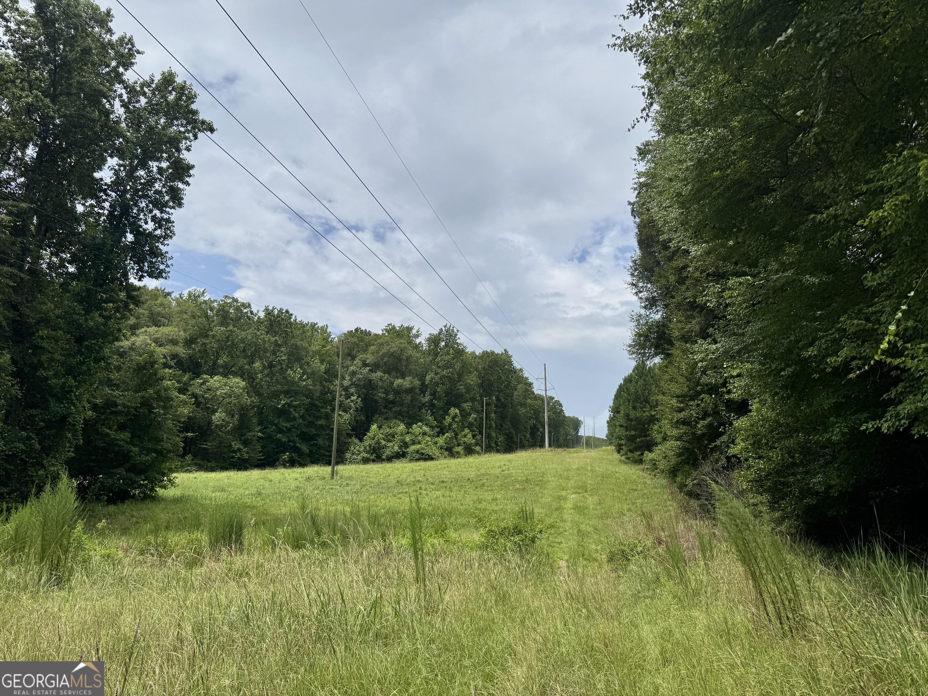 180.14-ac Johnson Mill Road Hamilton, GA 31811 - Photo 8 of 13 Gallery Image 8