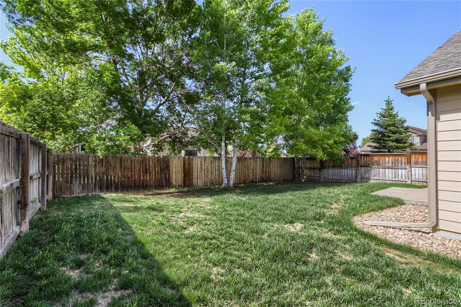 654 Foxtail Way Windsor, CO 80550 - Photo 27 of 30