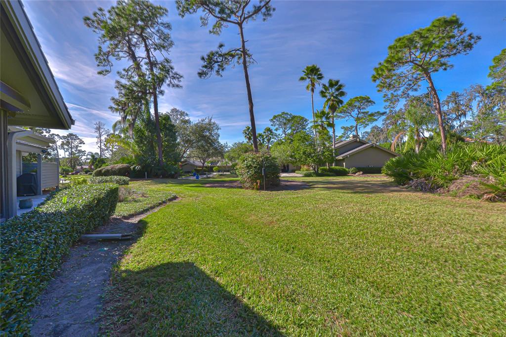 5355 Cobblestone Court Wesley Chapel, FL 33543 - Photo 13 of 54 a view of a garden with a flower in a garden