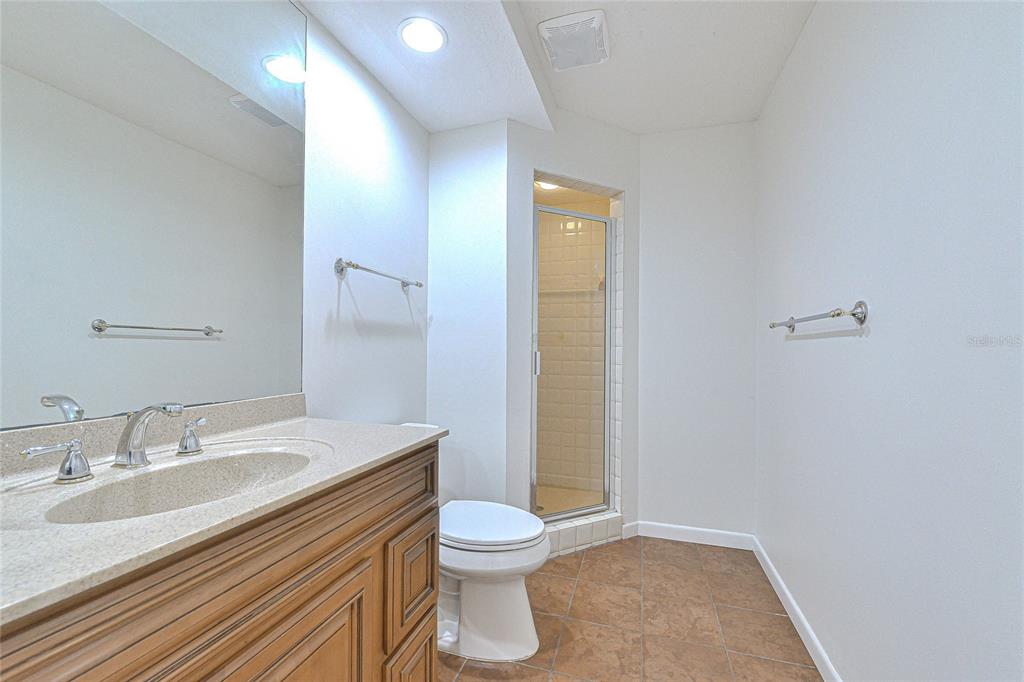 5355 Cobblestone Court Wesley Chapel, FL 33543 - Photo 43 of 54 a bathroom with a sink a toilet and shower