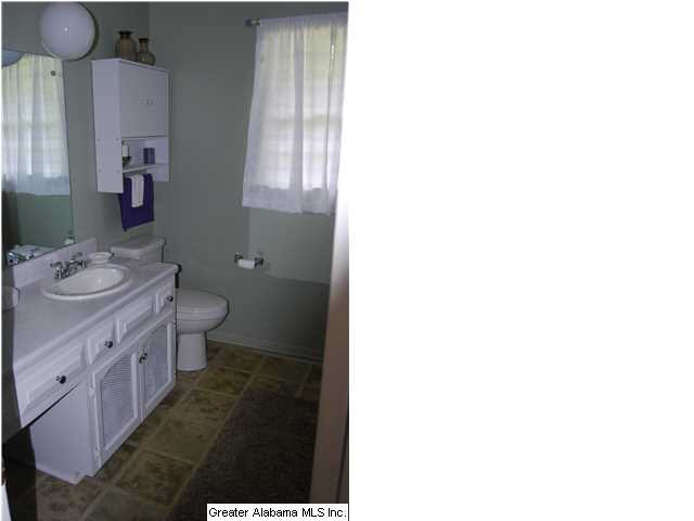 701 Truss Ferry Road Pell City, AL 35128 - Photo 8 of 18