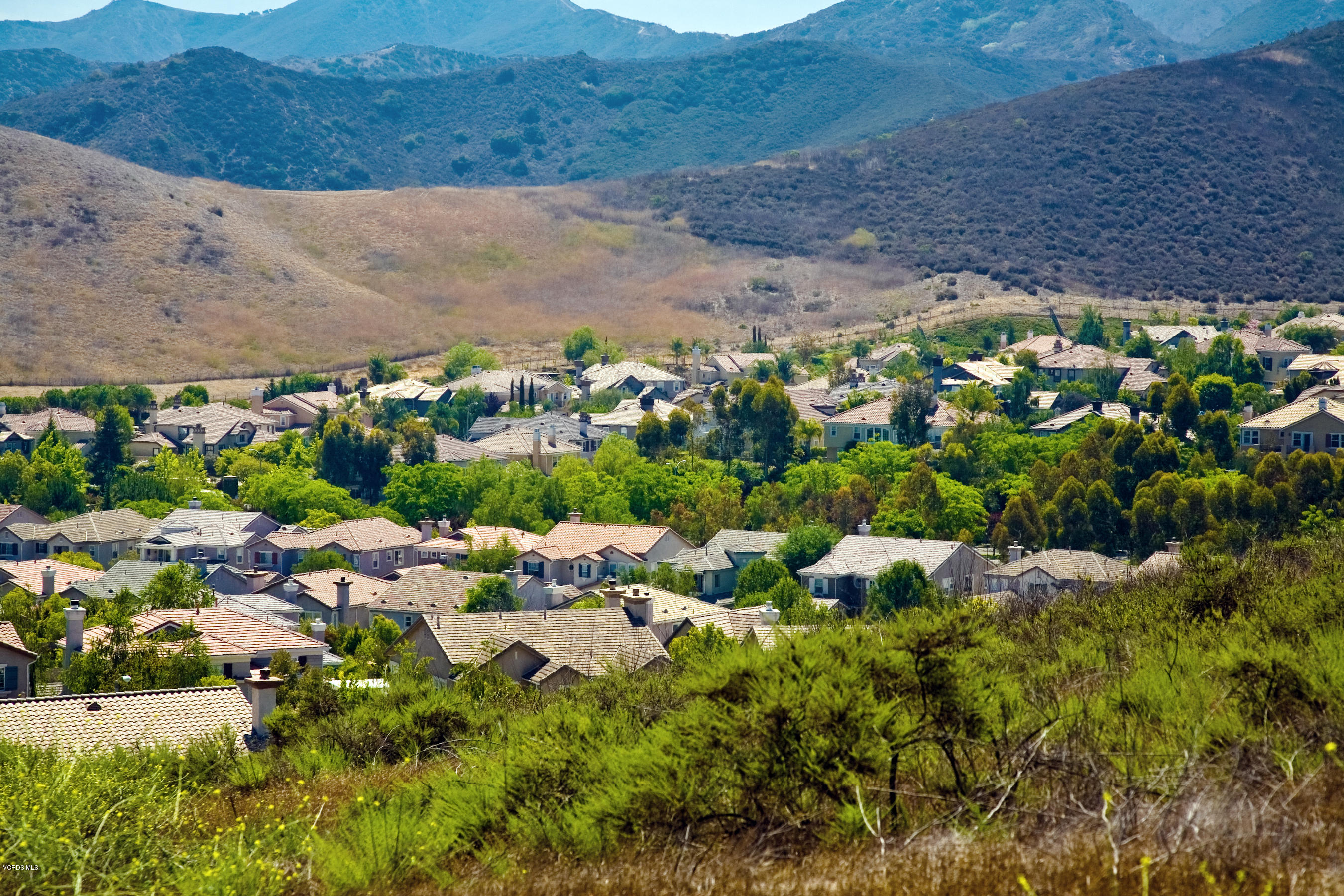 161 Laurel Ridge Drive Simi Valley, CA 93065 - Photo 44 of 50 a view of a bunch of flowers and trees