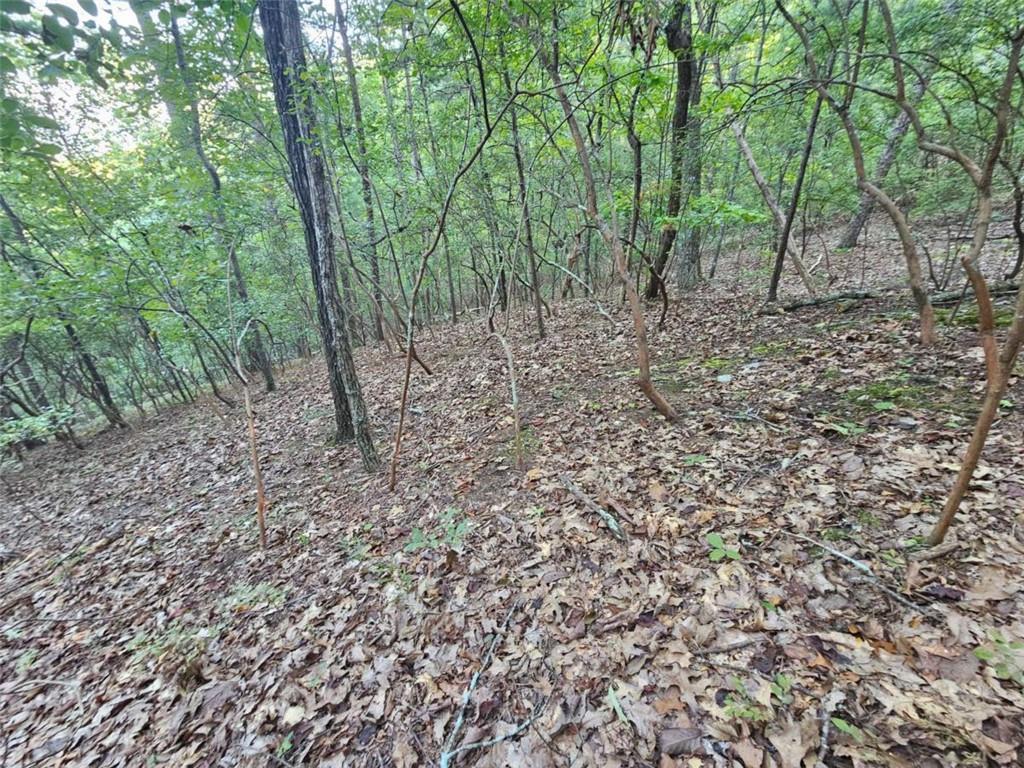 391 Meteor Court Ranger, GA 30734 - Photo 16 of 26 Gallery Image 16