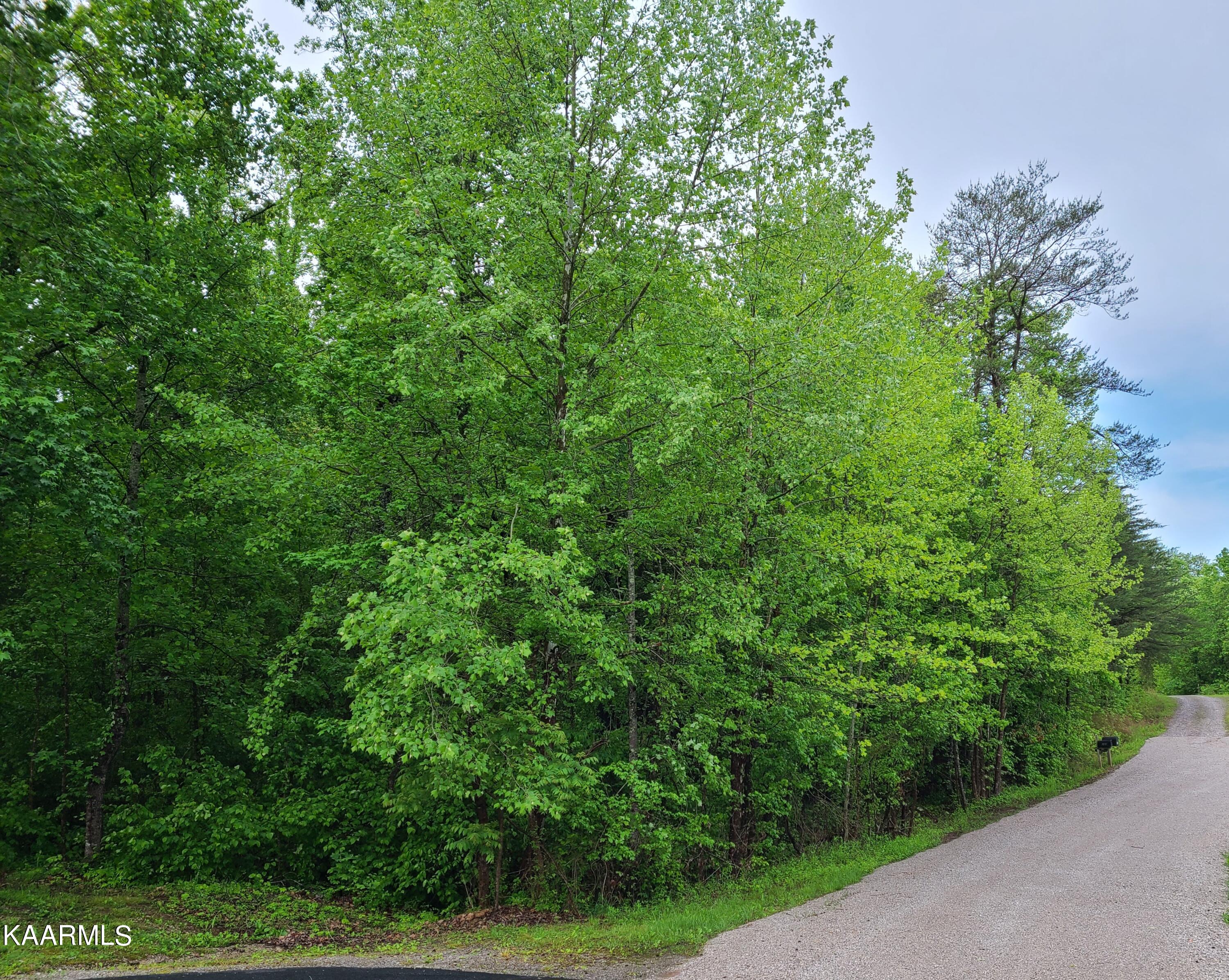 Long Road Kingston, TN 37763 - Photo 1 of 3 Long Rd Pix