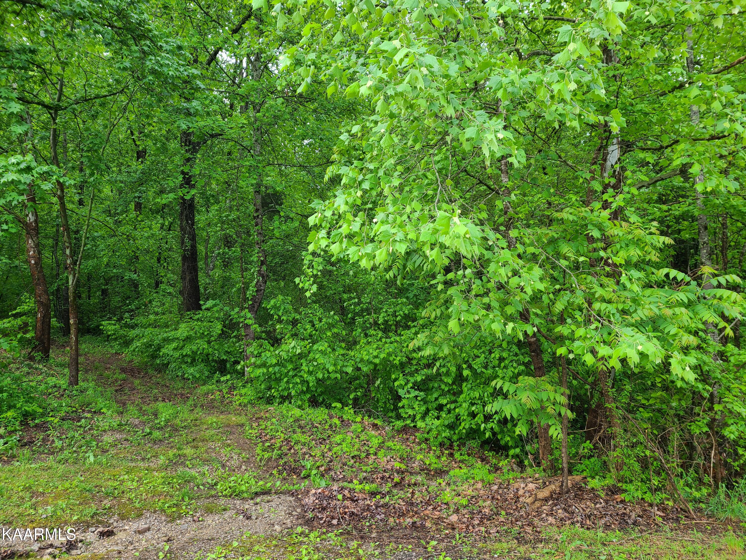 Long Road Kingston, TN 37763 - Photo 2 of 3 Long Rd Pix 2