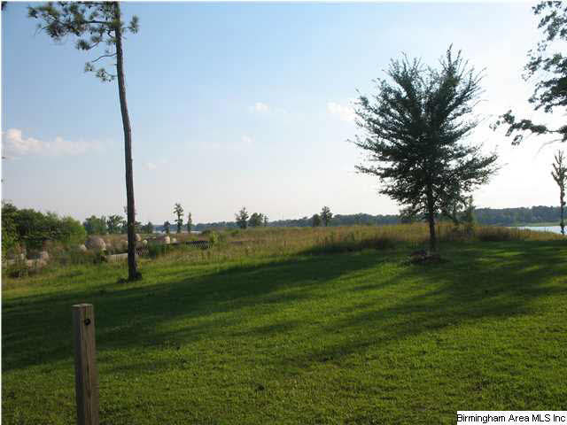 Turner Road, Unit 1 Pell City, AL 35128 - Photo 4 of 7
