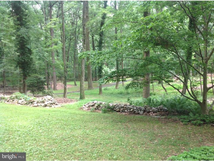 5434 Lower Mountain Road New Hope, PA 18938 - Photo 2 of 9 Front Yard