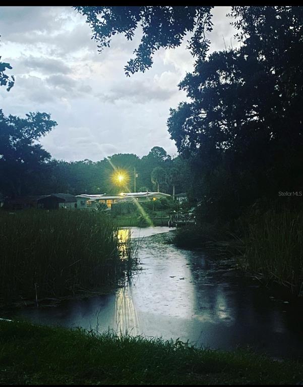 6443 Finance Avenue Weeki Wachee, FL 34607 - Photo 34 of 45 a view of a lake with a yard