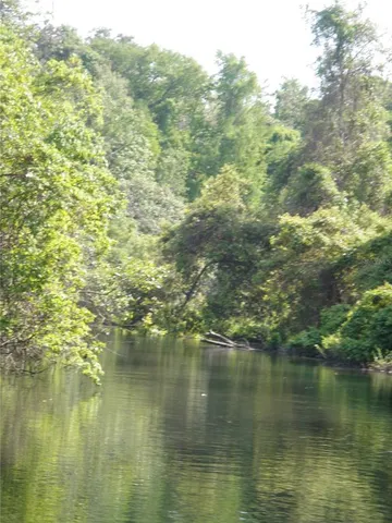 a view of a lake with a yard