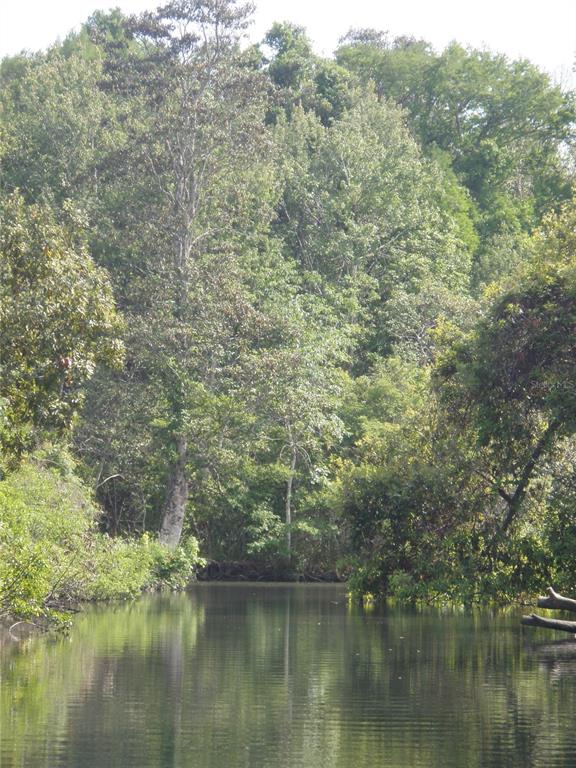 6443 Finance Avenue Weeki Wachee, FL 34607 - Photo 36 of 45 a view of lake