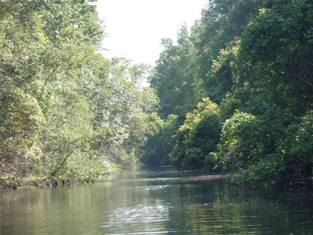 a view of a water fountain