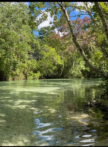 a view of mountain view with large trees
