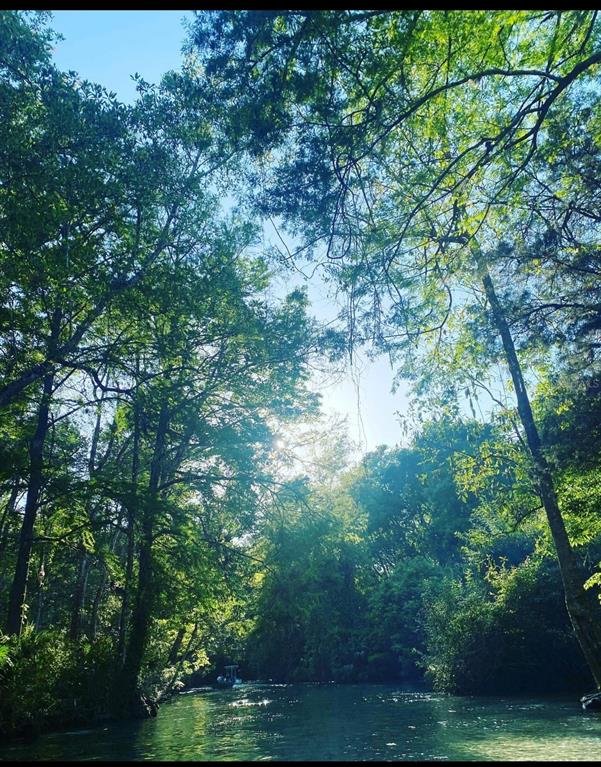 6443 Finance Avenue Weeki Wachee, FL 34607 - Photo 40 of 45 a backyard of a house with lots of green space